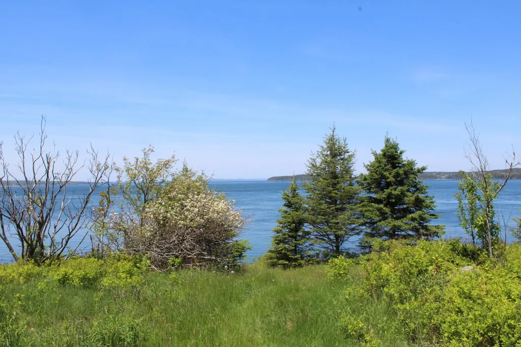 45 Kendall Head Road Eastport ME 04631