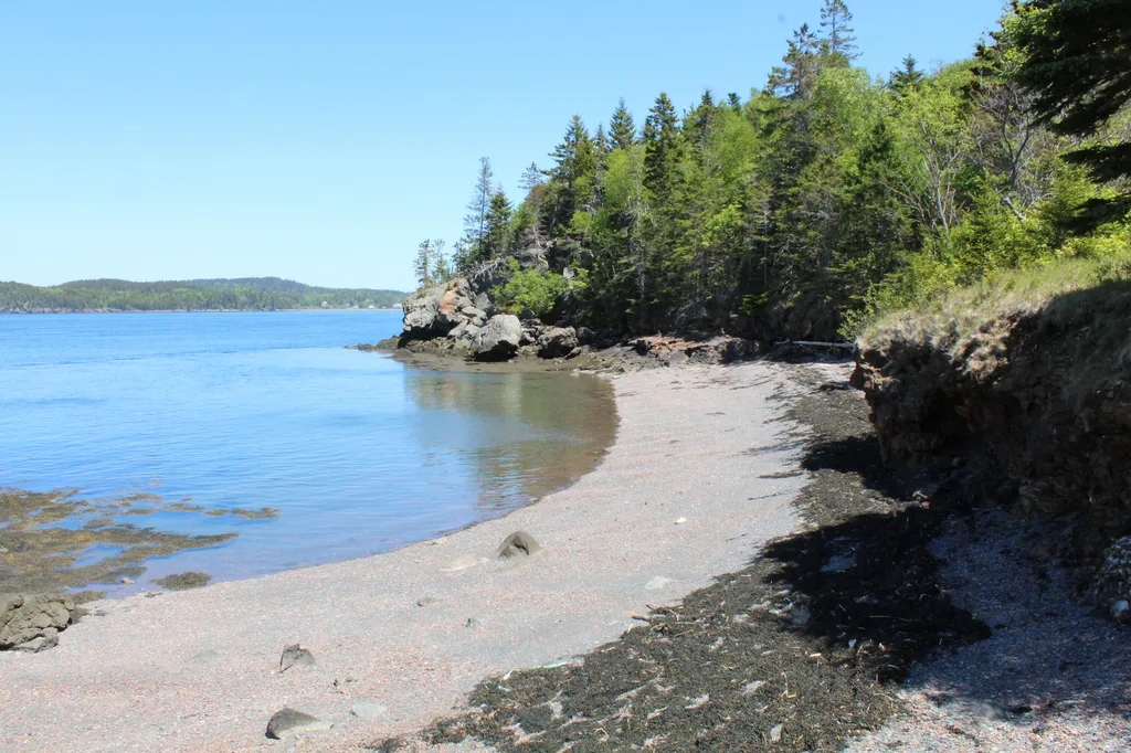 45 Kendall Head Road Eastport ME 04631