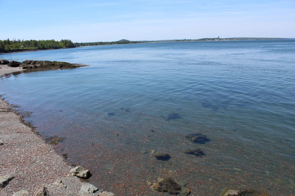 45 Kendall Head Road Eastport ME 04631
