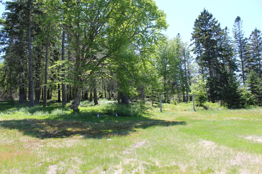 45 Kendall Head Road Eastport ME 04631