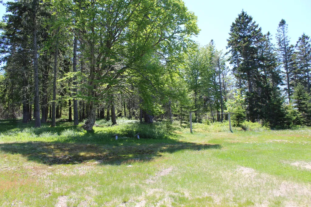 45 Kendall Head Road Eastport ME 04631