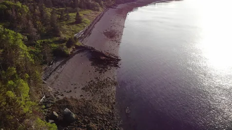 45 Kendall Head Road Eastport ME 04631