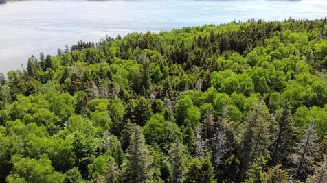45 Kendall Head Road Eastport ME 04631