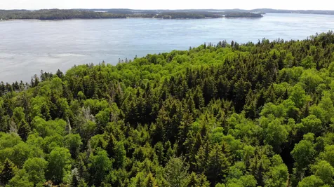 45 Kendall Head Road Eastport ME 04631
