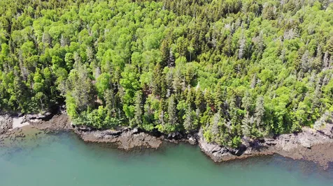 45 Kendall Head Road Eastport ME 04631