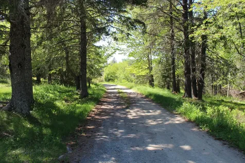 45 Kendall Head Road Eastport ME 04631