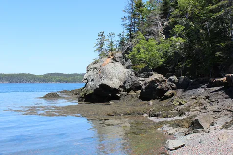 45 Kendall Head Road Eastport ME 04631