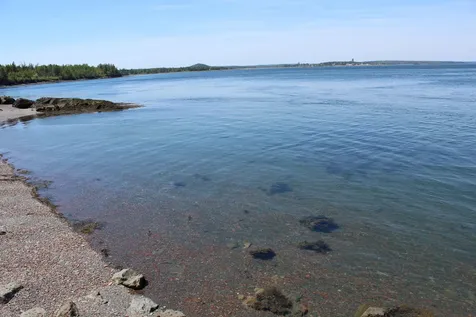 45 Kendall Head Road Eastport ME 04631