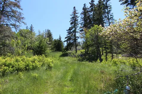 45 Kendall Head Road Eastport ME 04631