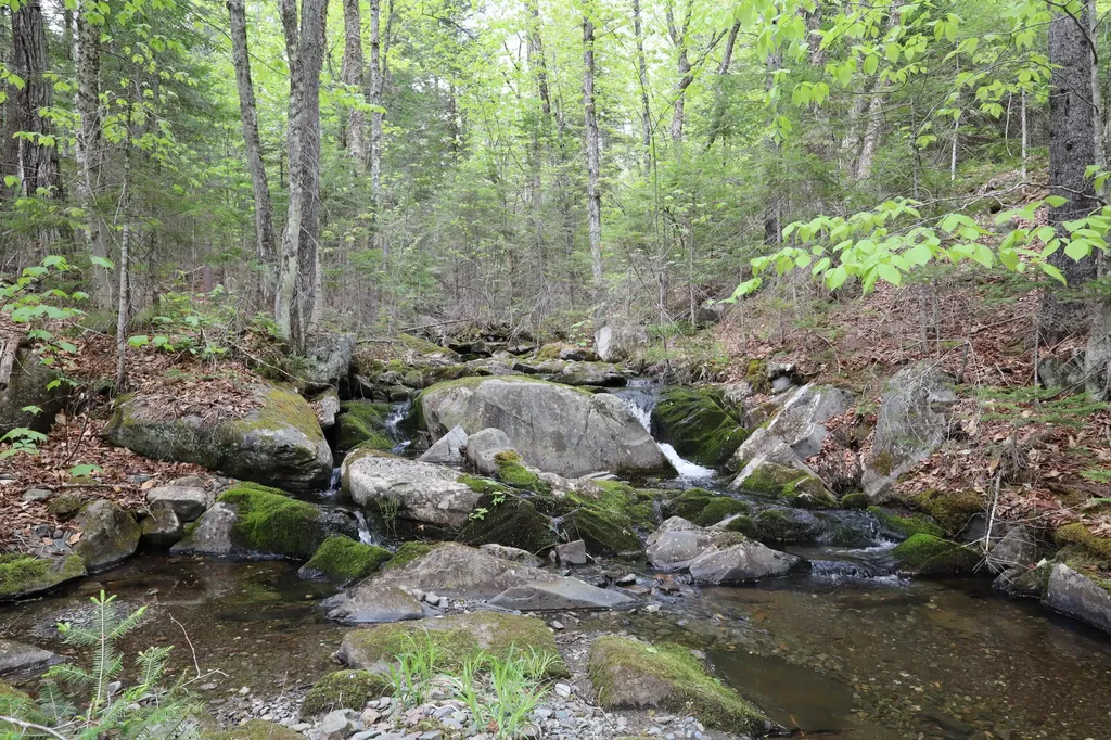 198 Scammon Road Greenville ME 04441