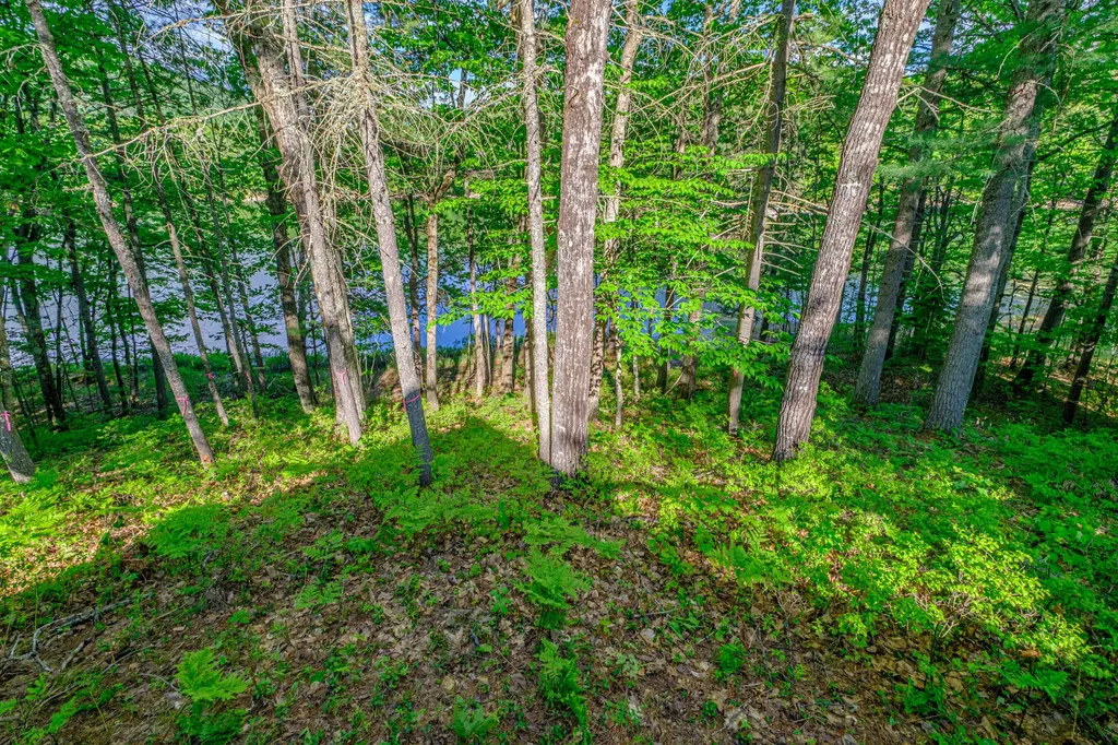 138 Long Pond Drive Denmark ME 04022