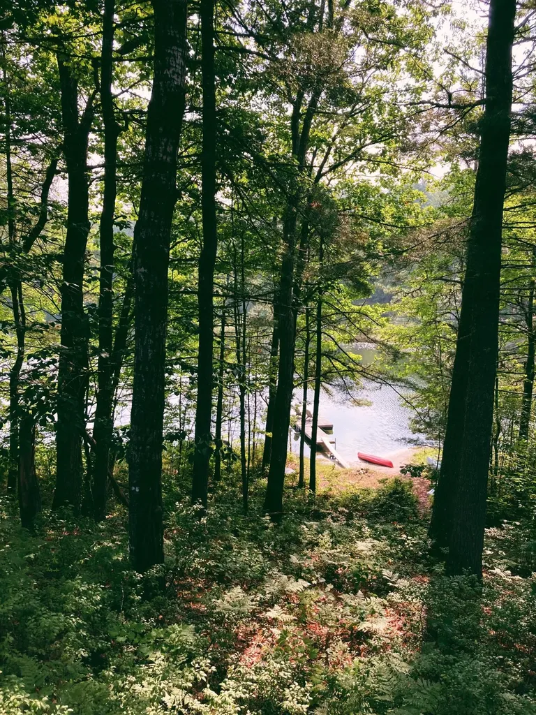 138 Long Pond Drive Denmark ME 04022