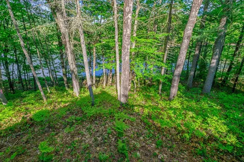 138 Long Pond Drive Denmark ME 04022