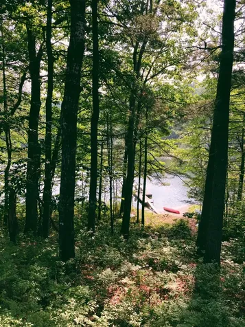 138 Long Pond Drive Denmark ME 04022