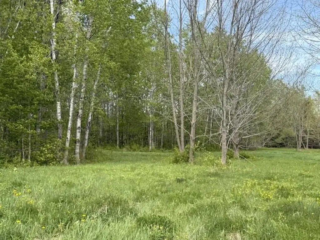 Lot 8 Clark Road Patten ME 04765