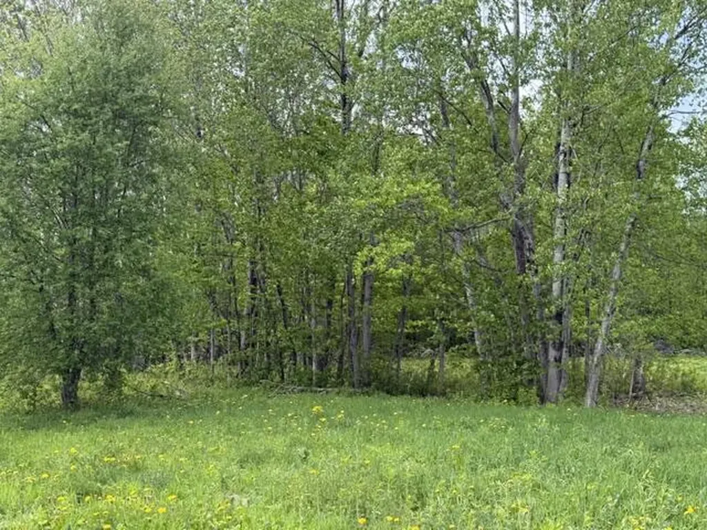 Lot 8 Clark Road Patten ME 04765