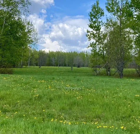 Lot 8 Clark Road Patten ME 04765