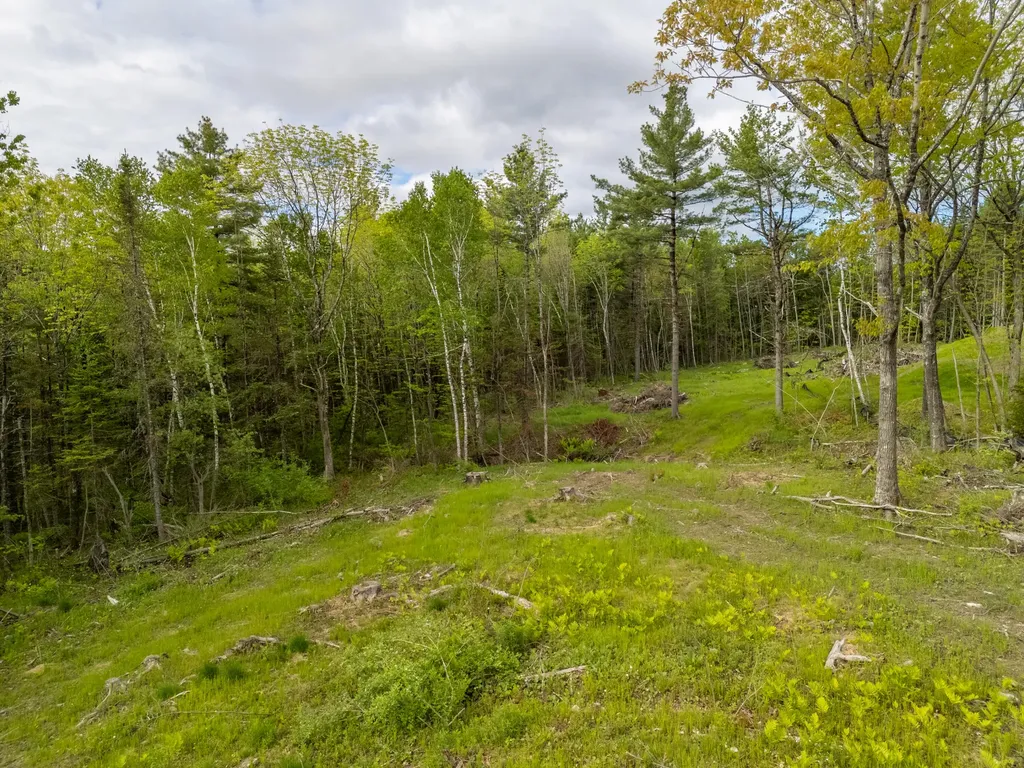 Lot #3 Buttermilk Lane Thomaston ME 04861