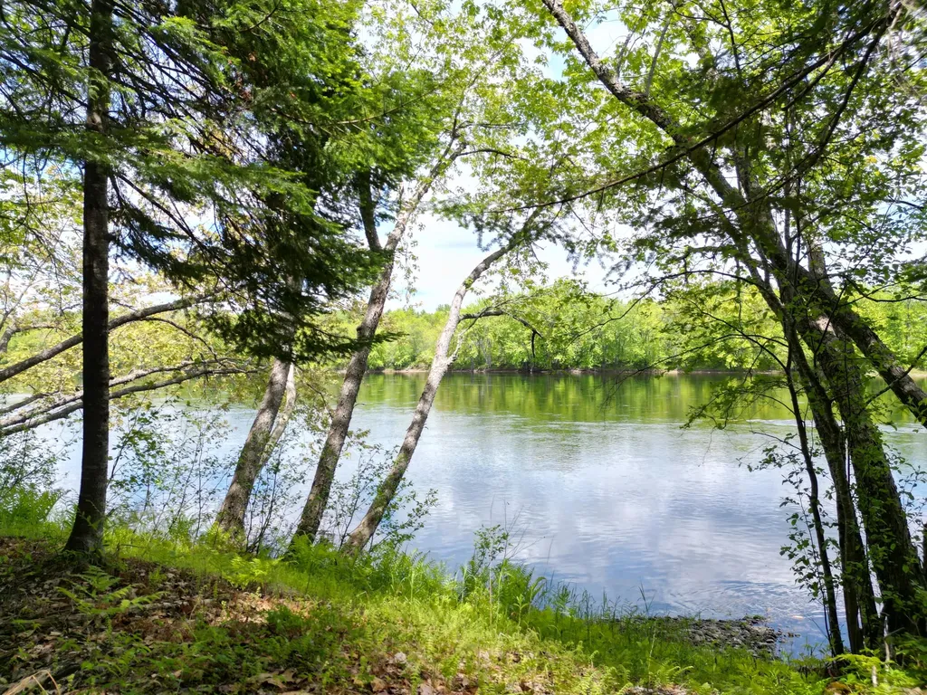 Lot 19-011 West Indian Road Woodville ME 04457