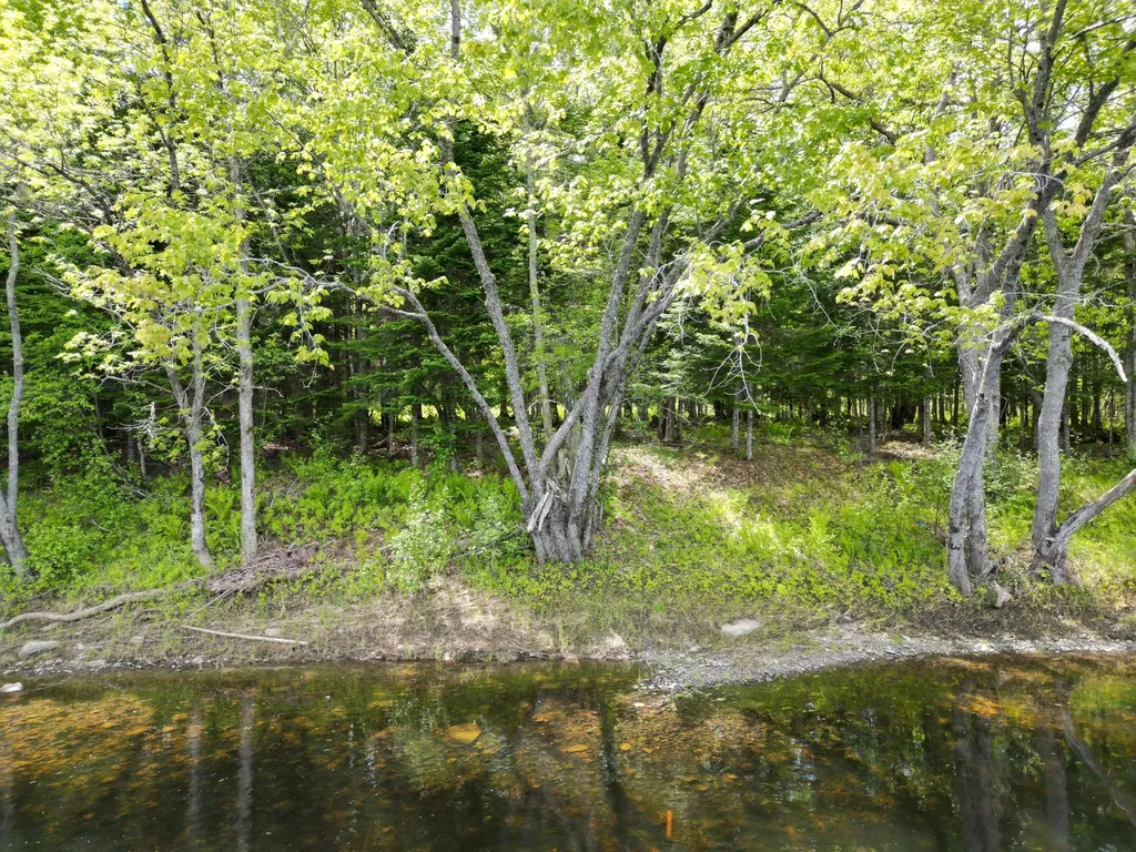 Lot 19-011 West Indian Road Woodville ME 04457