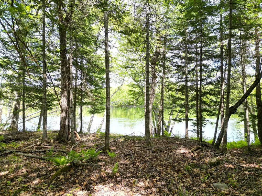 Lot 19-001 West Indian Road Woodville ME 04457