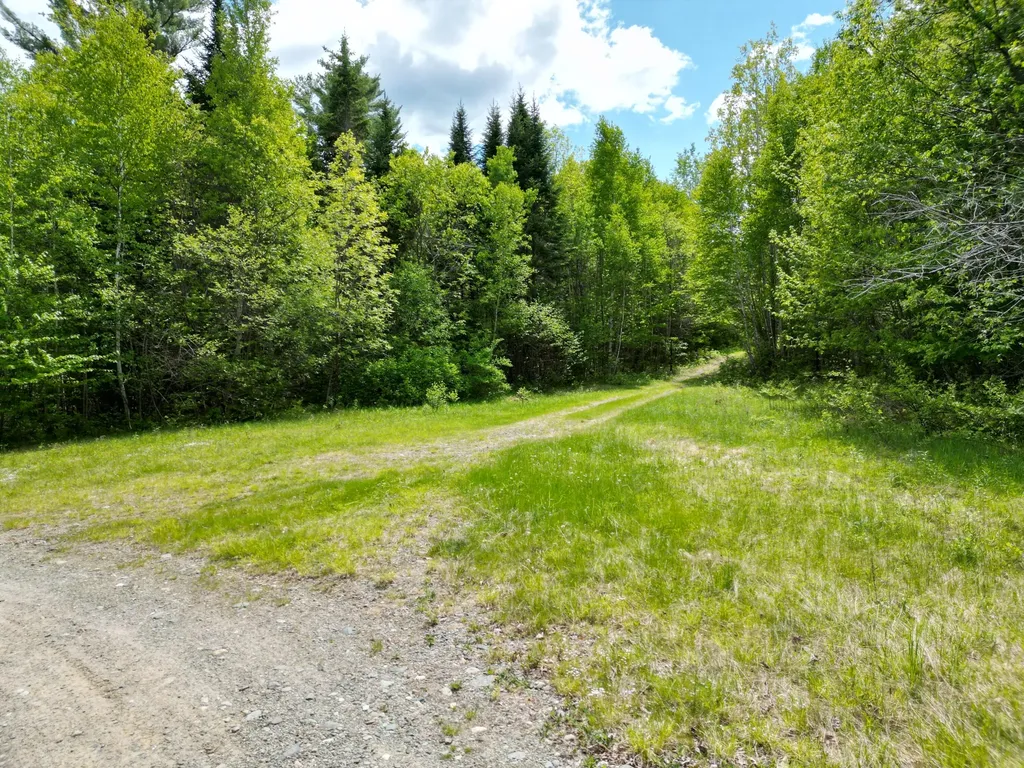 Lot 19-001 West Indian Road Woodville ME 04457