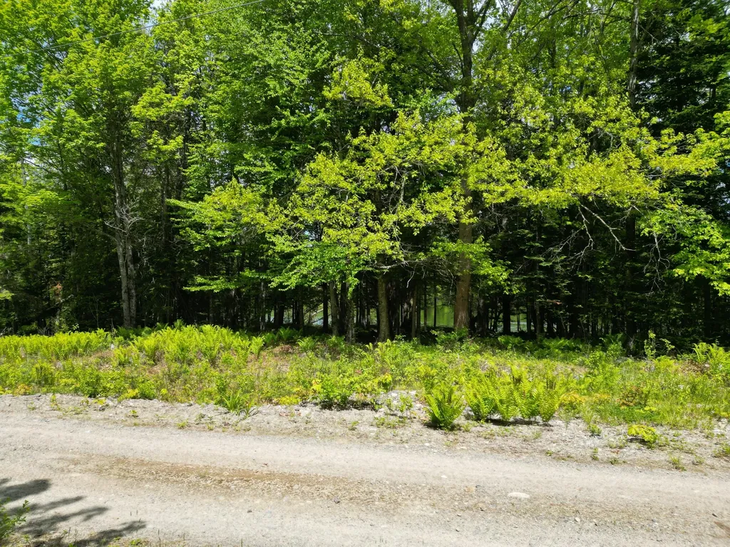 Lot 19-001 West Indian Road Woodville ME 04457