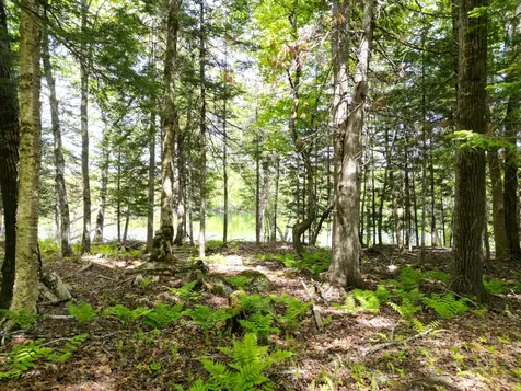 Lot 19-001 West Indian Road Woodville ME 04457