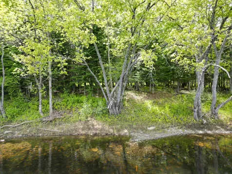 Lot 19-001 West Indian Road Woodville ME 04457
