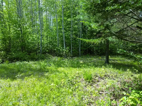 Lot 19-011 West Indian Road Woodville ME 04457