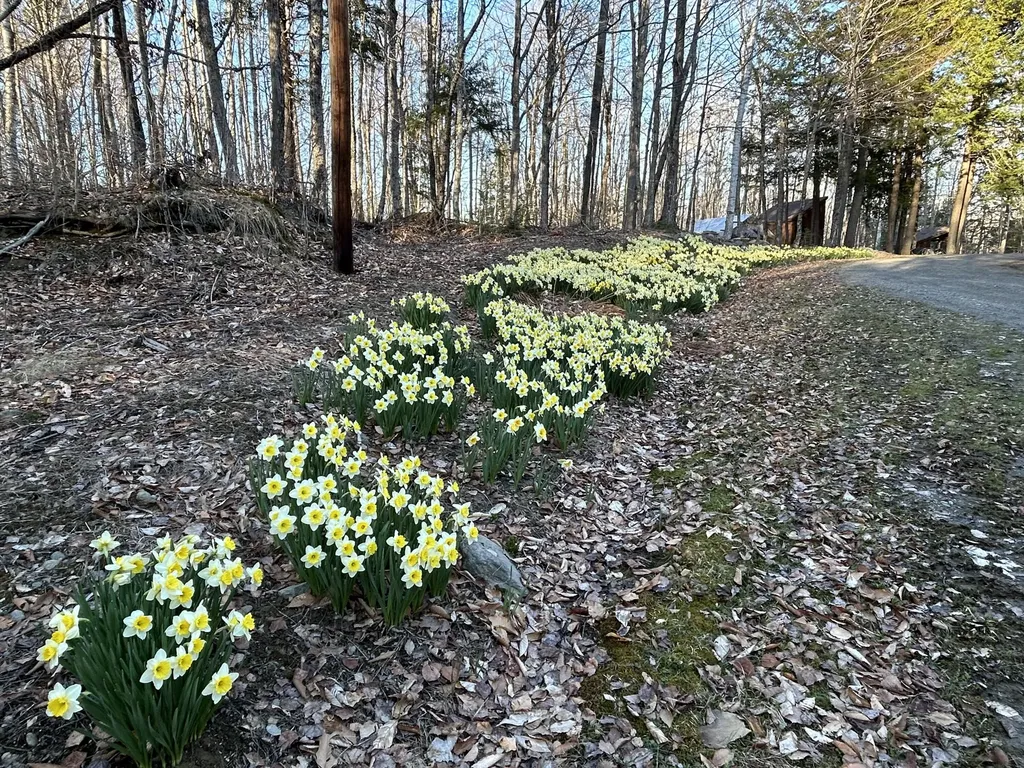 84 Bunker Road Charleston ME 04422
