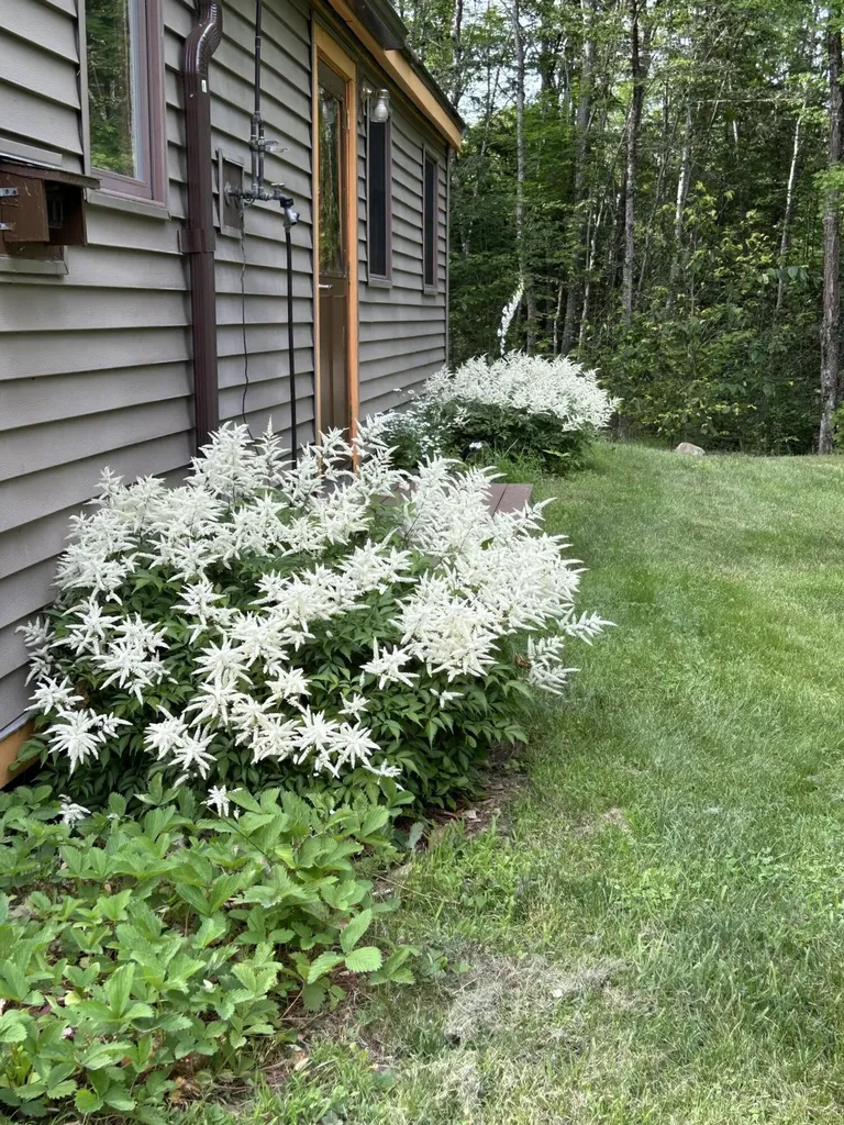 84 Bunker Road Charleston ME 04422