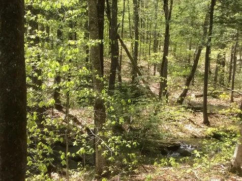 84 Bunker Road Charleston ME 04422