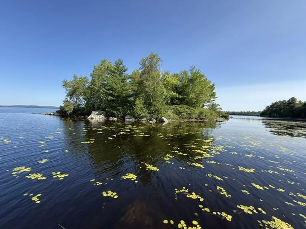 Lot 018 Pike Island Meddybemps ME 04657