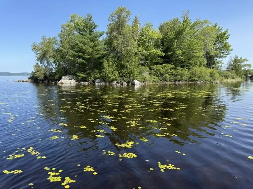 Lot 018 Pike Island Meddybemps ME 04657