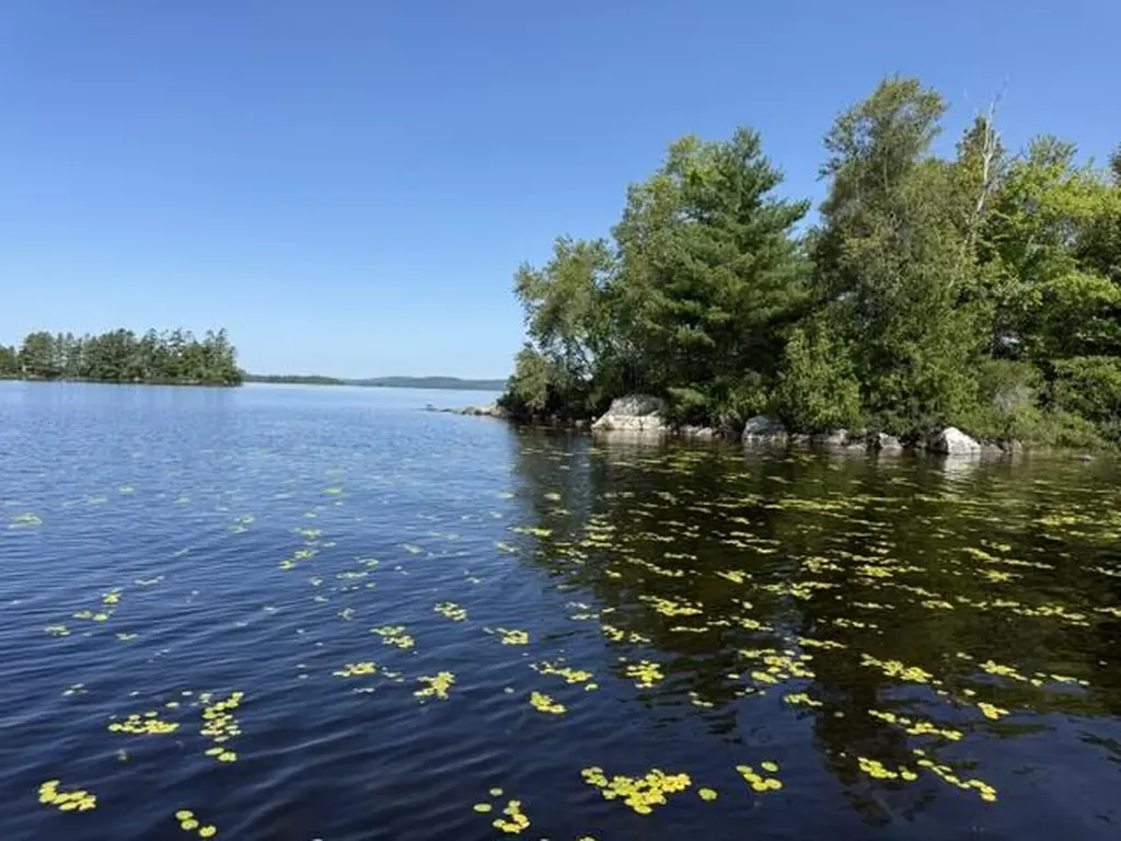 Lot 018 Pike Island Meddybemps ME 04657