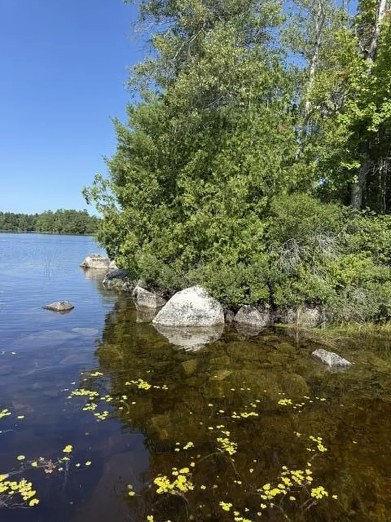 Lot 018 Pike Island Meddybemps ME 04657