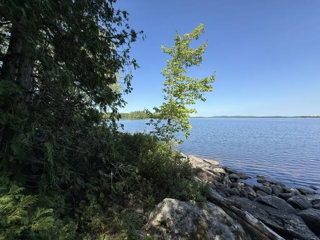 Lot 018 Pike Island Meddybemps ME 04657