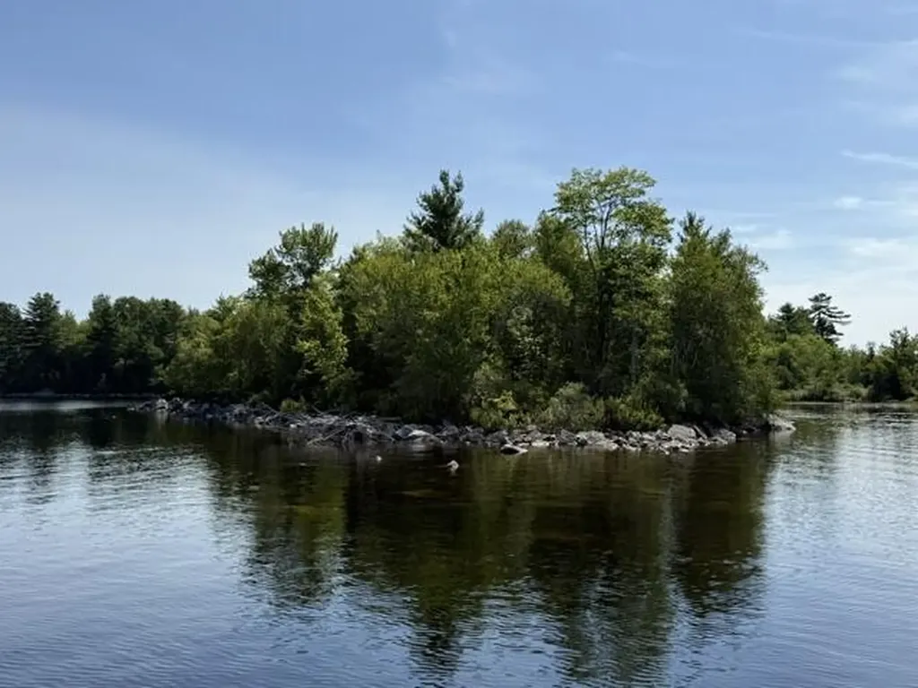 Lot 018 Pike Island Meddybemps ME 04657