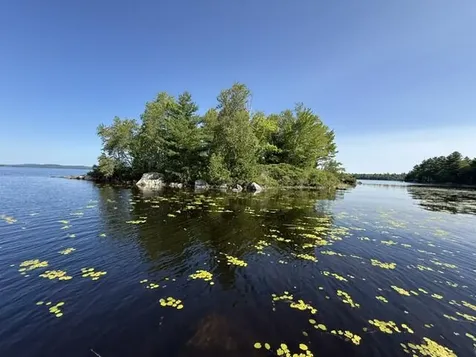 Lot 018 Pike Island Meddybemps ME 04657
