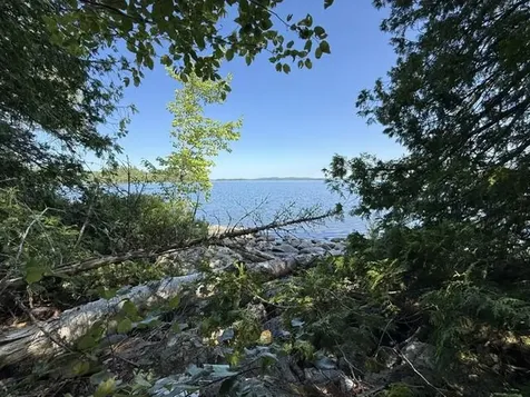 Lot 018 Pike Island Meddybemps ME 04657
