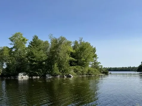 Lot 018 Pike Island Meddybemps ME 04657