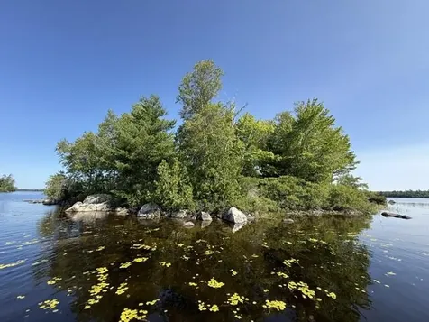 Lot 018 Pike Island Meddybemps ME 04657