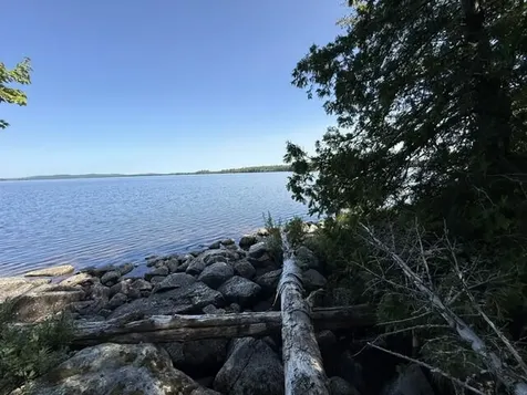 Lot 018 Pike Island Meddybemps ME 04657