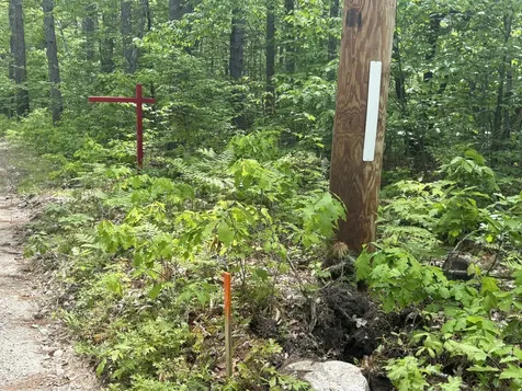 0 Whitehouse Road Newfield ME 04095