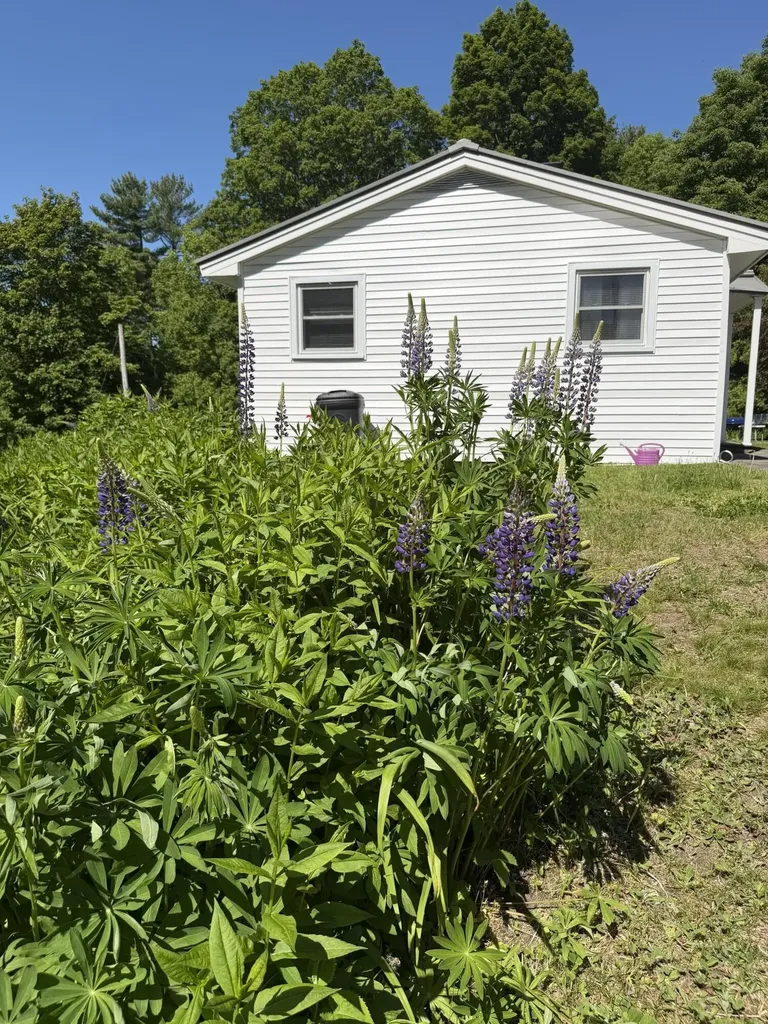 11 Mayo Street Dover-foxcroft ME 04426