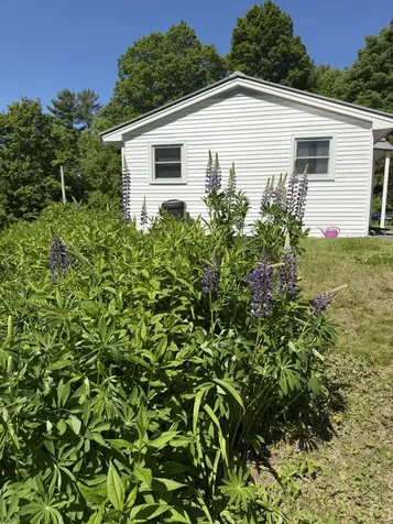 11 Mayo Street Dover-foxcroft ME 04426