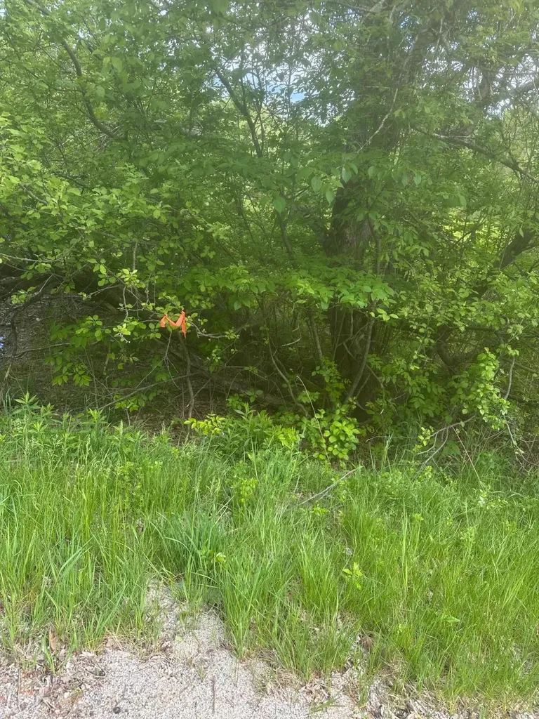 Lot 5 Unionville Road Steuben ME 04680