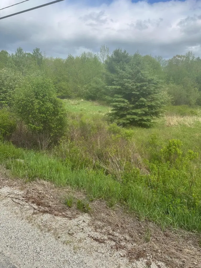 Lot 5 Unionville Road Steuben ME 04680