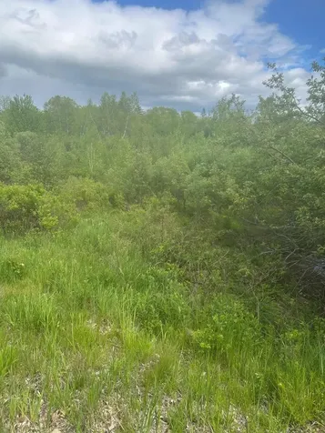 Lot 5 Unionville Road Steuben ME 04680